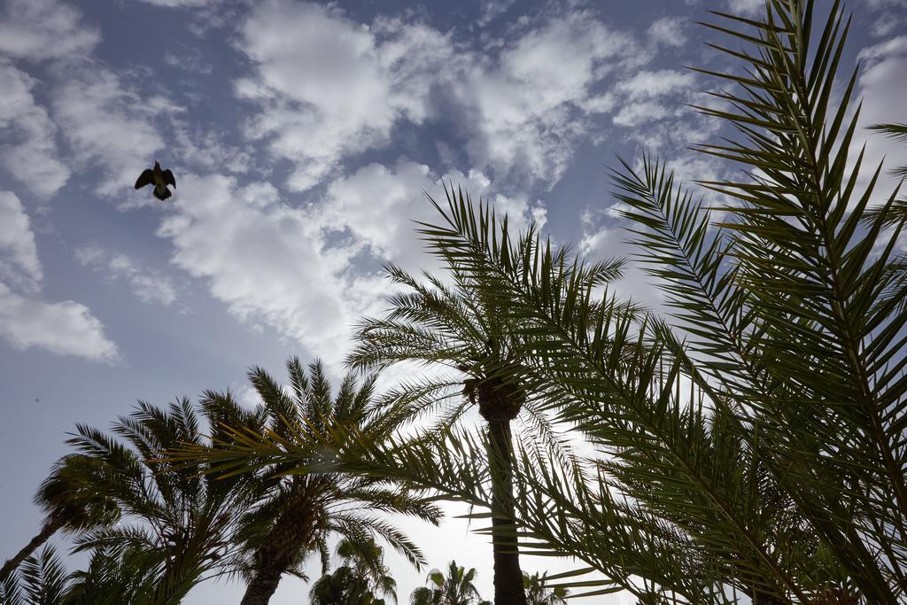 Dar Ayniwen Garden Hotel & Bird Zoo Marrakesh Exterior foto
