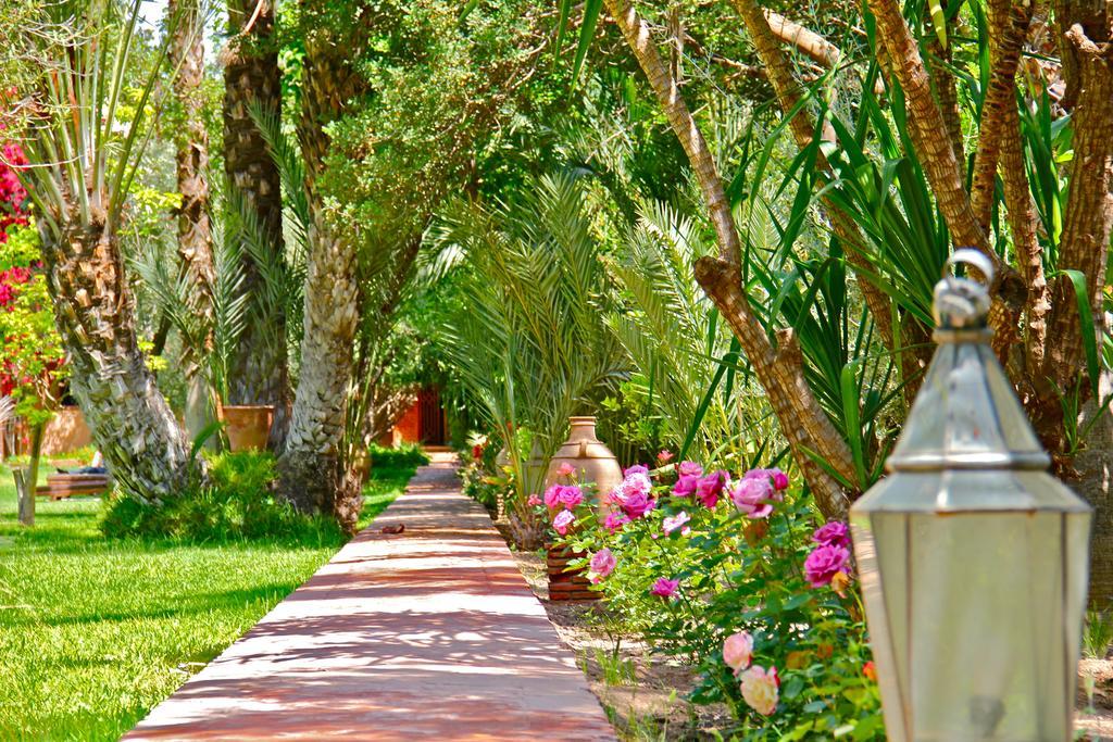 Dar Ayniwen Garden Hotel & Bird Zoo Marrakesh Exterior foto